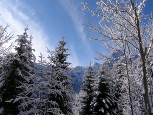 konec leta 2009 027